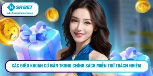 Các điều khoản cơ bản trong chính sách miễn trừ trách nhiệm