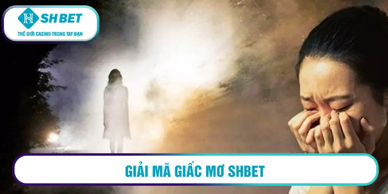 Giải mã giấc mơ SHBET